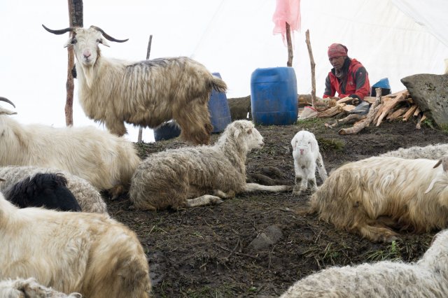 2019_10_08_103139_305