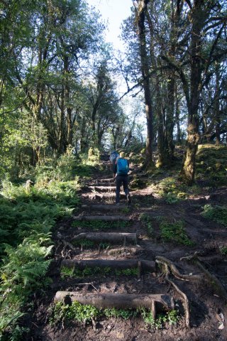 2019_10_09_101625_310