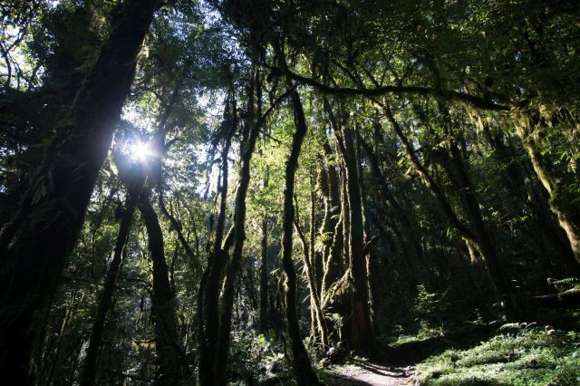 2019_10_09_103221_312