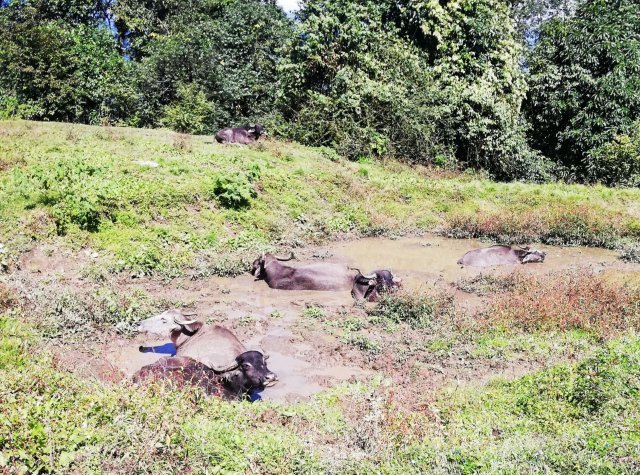 2019_10_09_104031_313