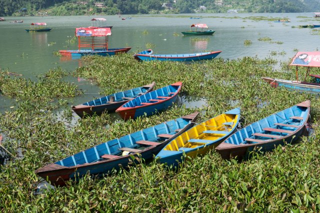 2019_10_11_120443_352