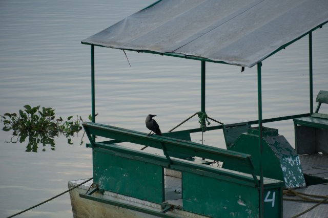 2019_10_13_192159_338