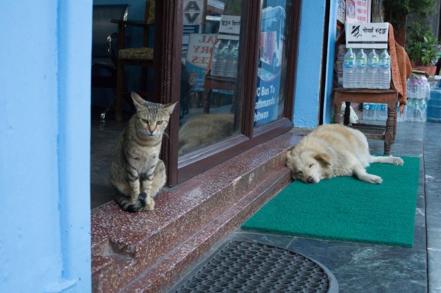 2019_10_13_193500_336