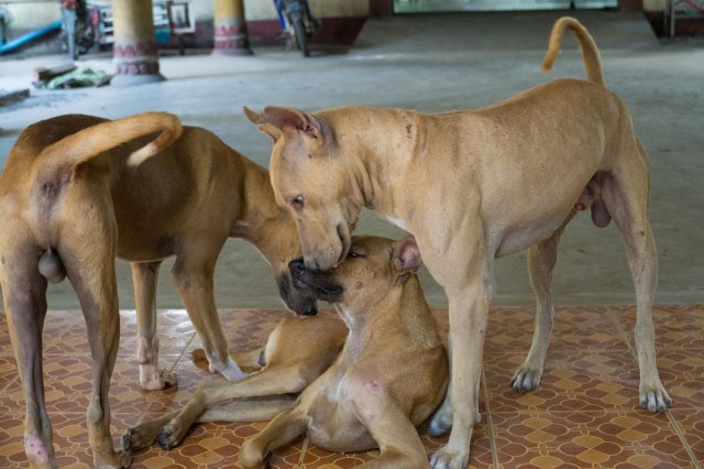 2019_10_20_124147_014