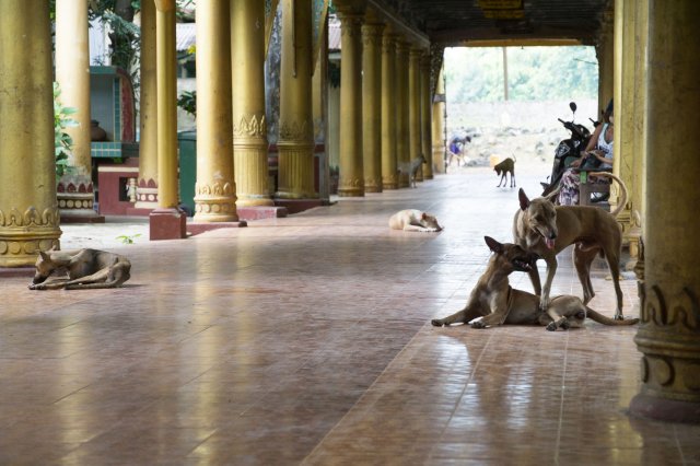 2019_10_20_124703_015