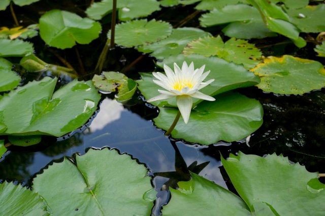 2019_10_20_125011_019