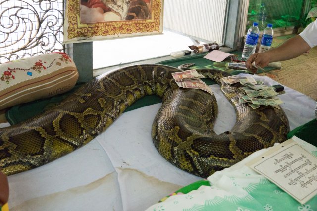 2019_10_20_153023_036