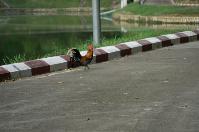 2019_10_21_171741_008