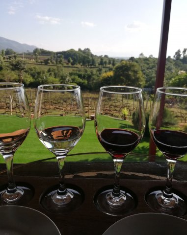 2019_10_22_154235_059