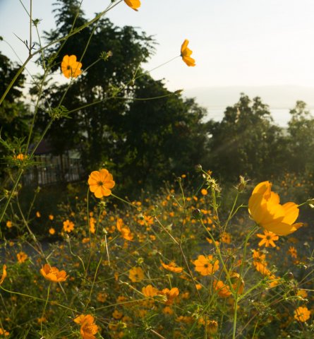 2019_10_22_183919_001