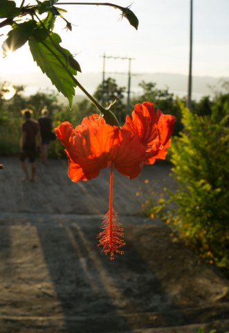 2019_10_22_184054_003