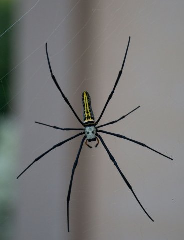 2019_10_22_185131_007