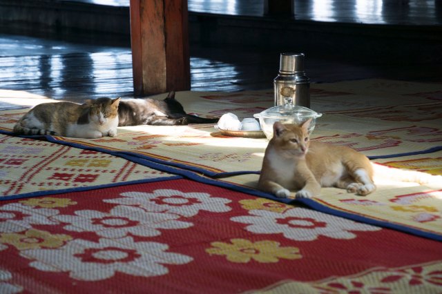 2019_10_23_120654_012