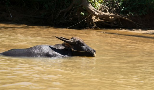 2019_10_23_132810_020