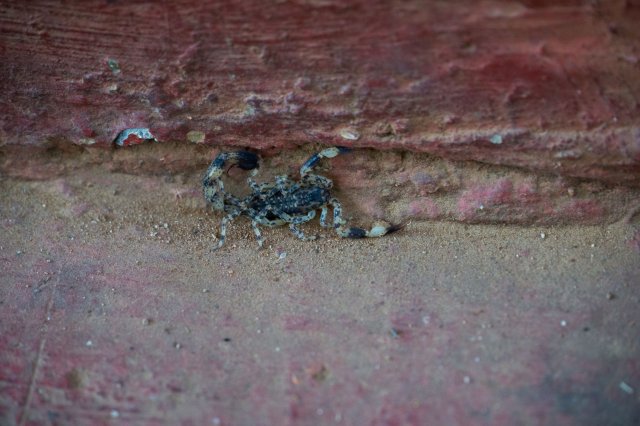 2019_10_23_144534_030