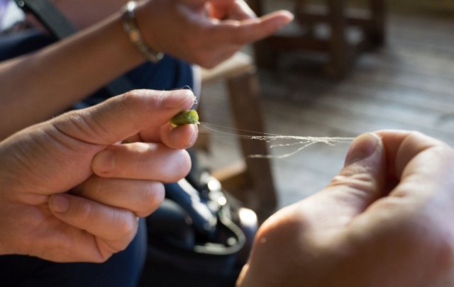 2019_10_23_174632_038