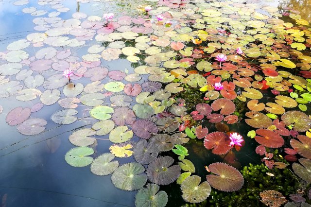 2019_10_24_084954_097