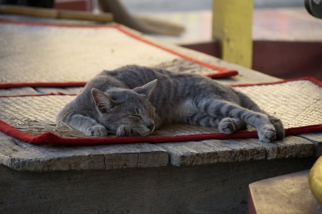 2019_10_25_170001_028