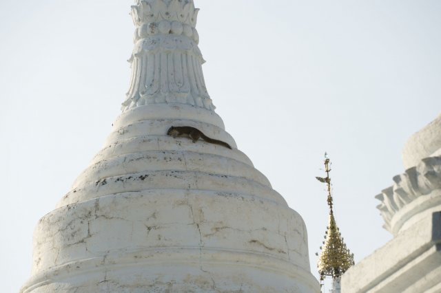 2019_10_25_172115_030