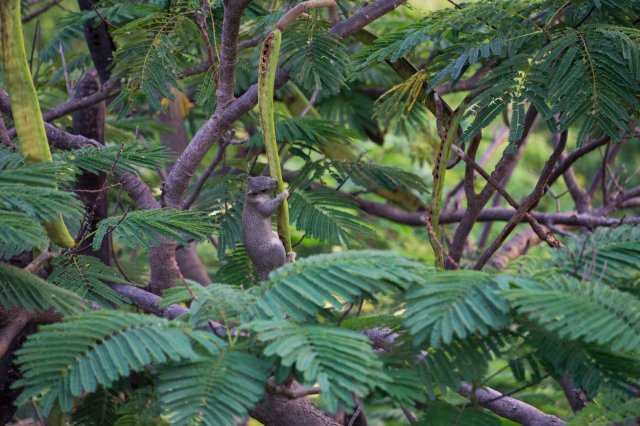 2019_10_25_184129_035