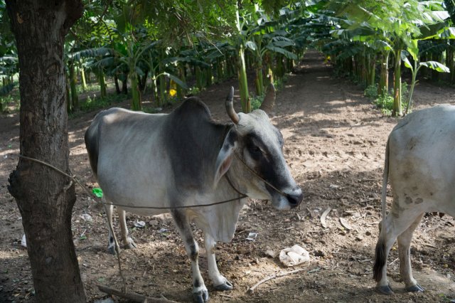 2019_10_26_161848_052