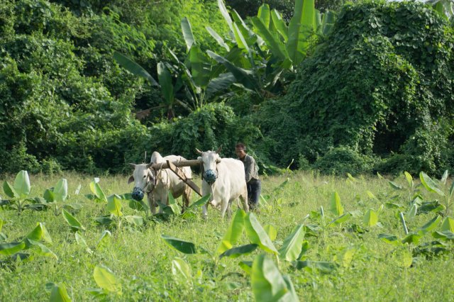 2019_10_26_163958_054