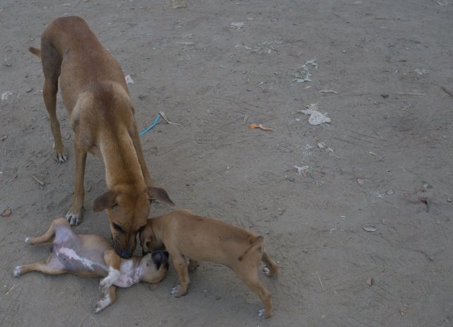 2019_10_26_184654_057