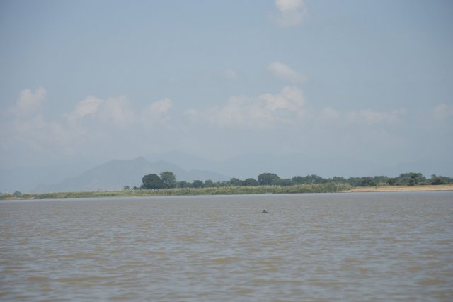 2019_10_27_133217_071