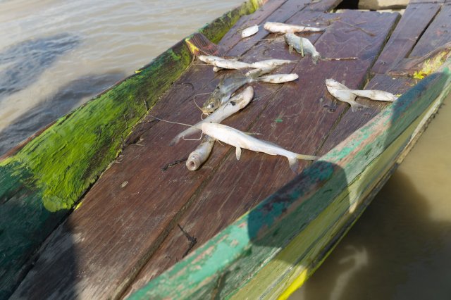 2019_10_27_142517_079