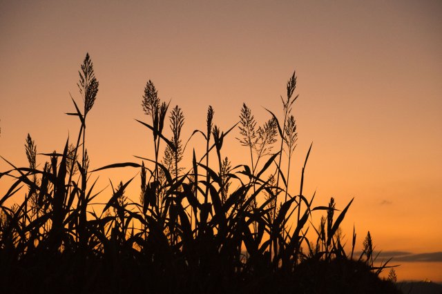 2019_10_28_193002_024