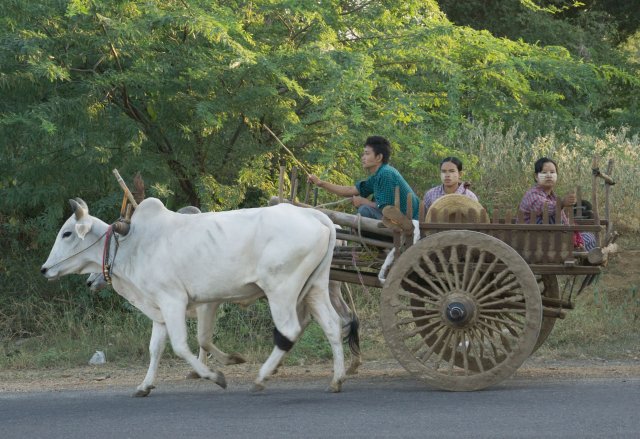 2019_10_29_082003_031