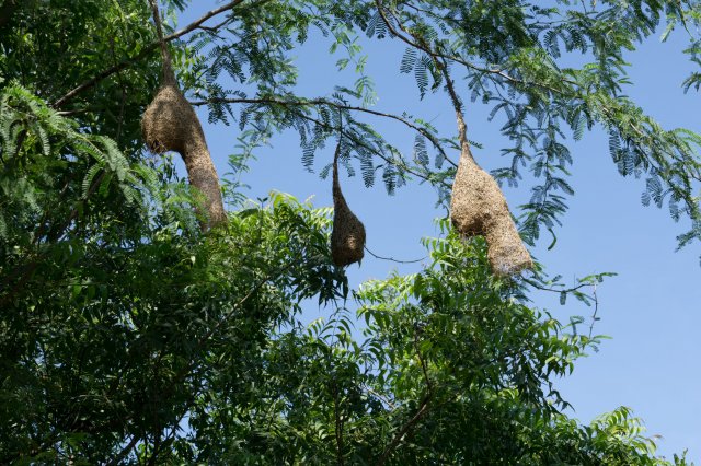 2019_10_29_120816_038