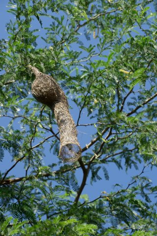 2019_10_29_120831_039