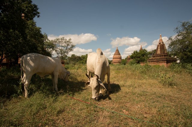 2019_10_29_121116_106