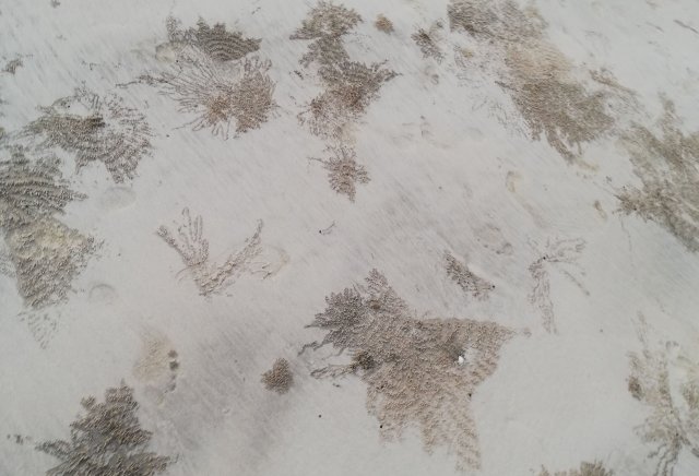 2019_10_30_173537_033