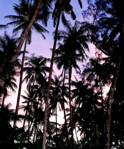 2019_10_30_175101_035