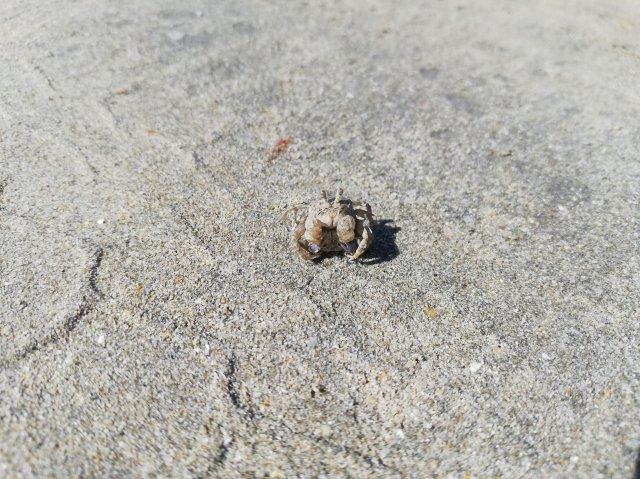 2019_11_01_101335_042