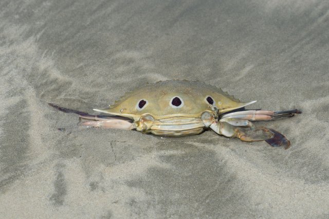 2019_11_01_114810_015