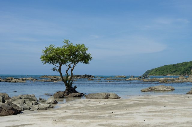 2019_11_01_115140_017