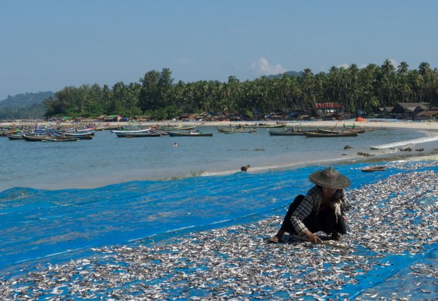 2019_11_01_115520_018