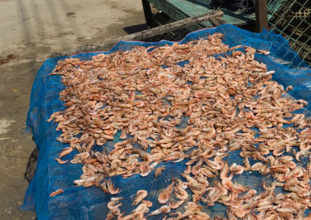 2019_11_01_121214_019