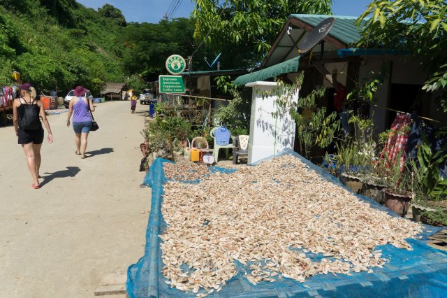 2019_11_01_121717_022