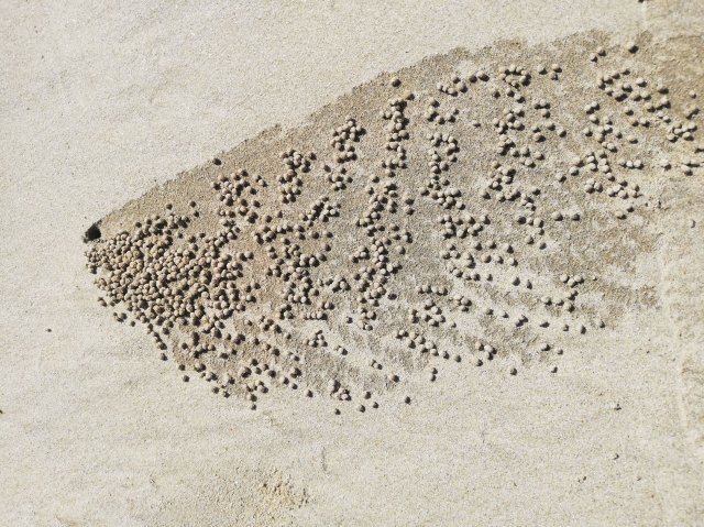 2019_11_03_102043_051