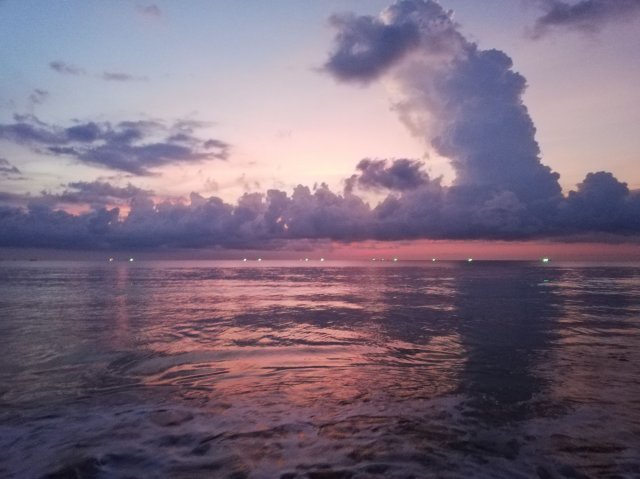 2019_11_04_175616_057