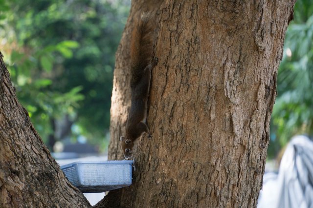 2019_11_09_150326_014