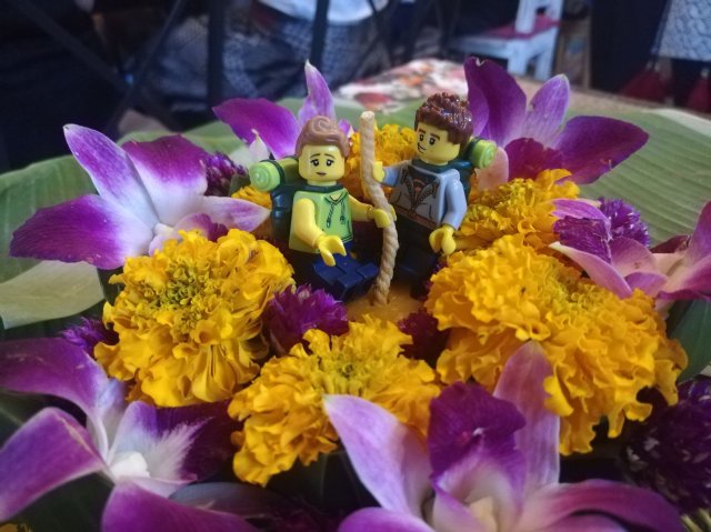 2019_11_10_170635_081