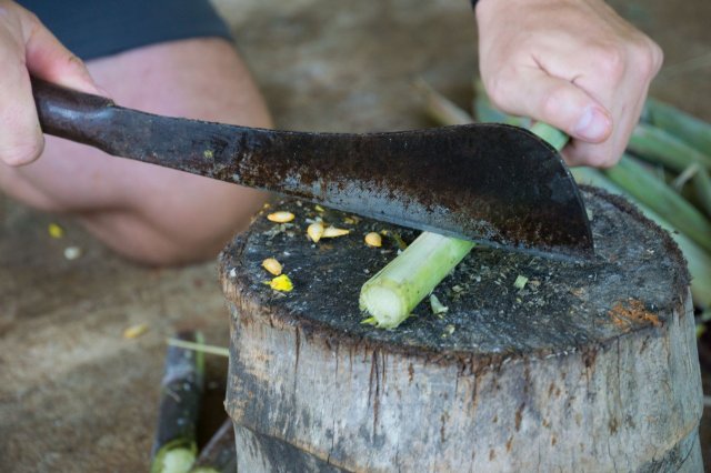 2019_11_12_112422_042