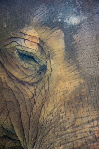 2019_11_12_120706_048