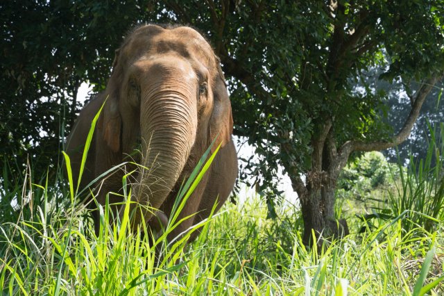 2019_11_12_123041_053