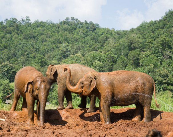 2019_11_12_141321_057